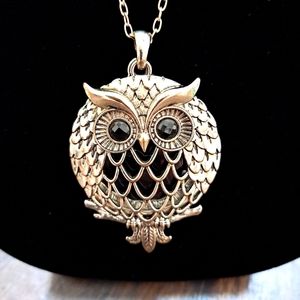 NEW MAGNIFYING GLASS PENDANT NECKLACE OWL SILVER